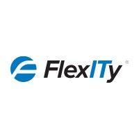 flexity systems ltd logo image