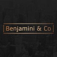 benjamini & co logo image