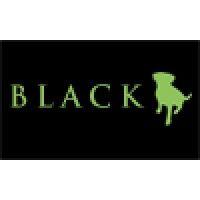 black dog agency logo image