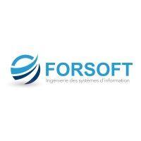 forsoft | partenaire sage agréé platinum logo image