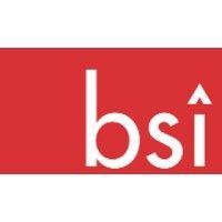 bi-search int'l, inc. (bsi) logo image