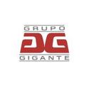 logo of Grupo Gigante