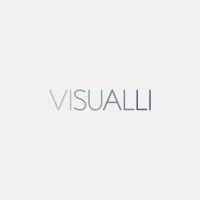 visualli logo image