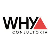 why consultoria logo image