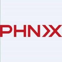 phnix eco-energy solutions logo image