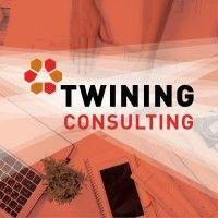 twining consulting, inc. logo image