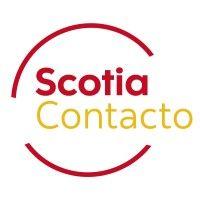 scotia contacto