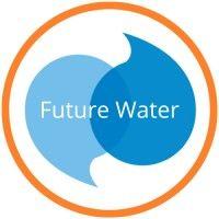 future water logo image