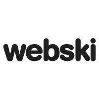 webski solutions logo image