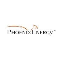 phoenix energy logo image