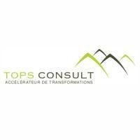 tops consult logo image