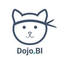 dojo bi - 360° data studio logo image