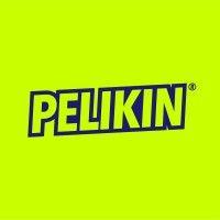 pelikin travel money logo image