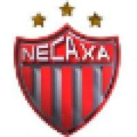 necaxa logo image