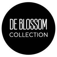 blossom footwear logo image