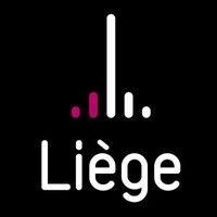 ville de liège logo image