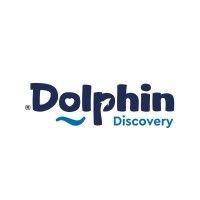 dolphin discovery