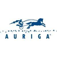 auriga logo image