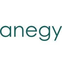 anegy digital consulting logo image