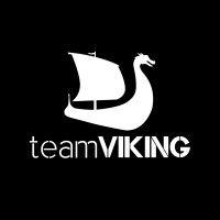 team viking logo image