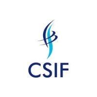 csif global group ltd logo image