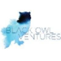 black owl ventures logo image