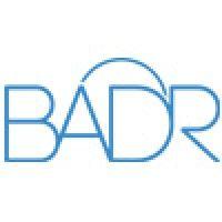 badr (acquired by incorta) logo image