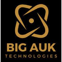 big auk technologies logo image