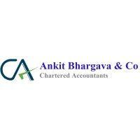 ankit bhargava & co