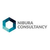 nibura consultancy trade and investment ab logo image