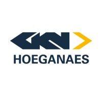 gkn hoeganaes logo image