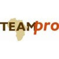 teampro logo image