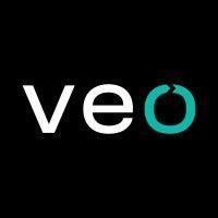 veo logo image