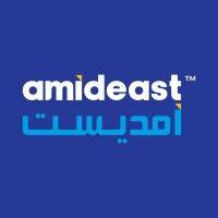 amideast/egypt logo image