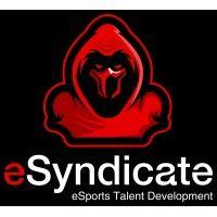 esyndicate, llc logo image