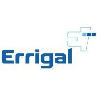 errigal logo image