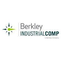 berkley industrial comp (a berkley company) logo image