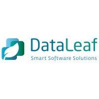 dataleaf smart software solutions logo image