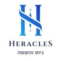 heracles group-גיוס והשמה logo image