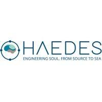 haedes logo image