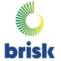 brisk dynamics logo image