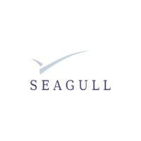 seagull technology logo image