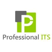 professional it sols pvt. ltd. logo image