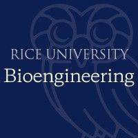 rice university department of bioengineering logo image