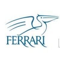 ferrari logistics (china) co., ltd. logo image