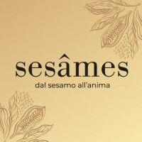 sesâmes srl logo image