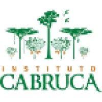 instituto cabruca logo image