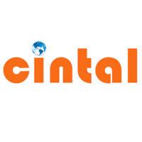 cintal, inc. logo image