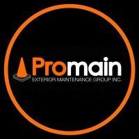 promain exterior maintenance group logo image