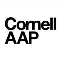 cornell university college of architecture, art, and planning logo image